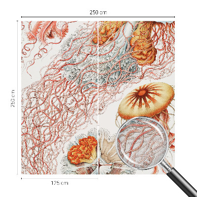 Fototapeta samoprzylepna do sypialni z motywem fantazyjnych meduz