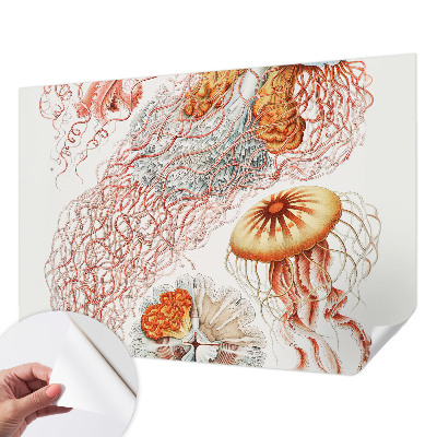 Fototapeta samoprzylepna do sypialni z motywem fantazyjnych meduz