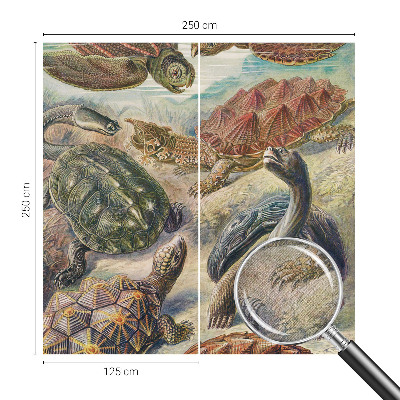 Tapeta fotograficzna Tapeta fotograficzna