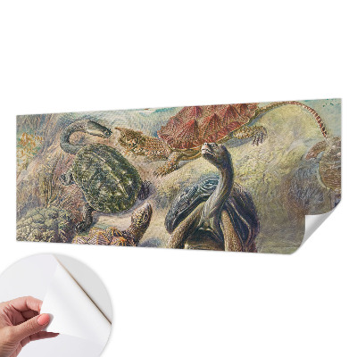 Tapeta fotograficzna Tapeta fotograficzna