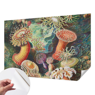 Fototapeta na ścianę z motywem fantazyjnych anemonów
