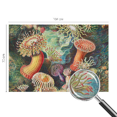 Fototapeta na ścianę z motywem fantazyjnych anemonów