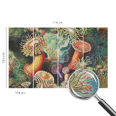 Fototapeta na ścianę z motywem fantazyjnych anemonów