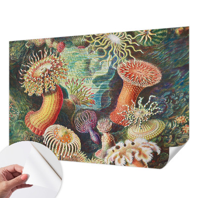 Fototapeta na ścianę z motywem fantazyjnych anemonów