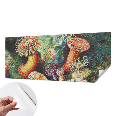 Fototapeta na ścianę z motywem fantazyjnych anemonów