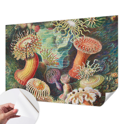 Fototapeta na ścianę z motywem fantazyjnych anemonów