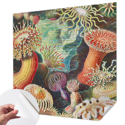 Fototapeta na ścianę z motywem fantazyjnych anemonów