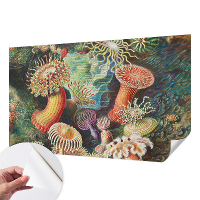Fototapeta na ścianę z motywem fantazyjnych anemonów
