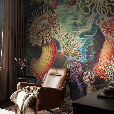 Fototapeta na ścianę Fototapeta na ścianę