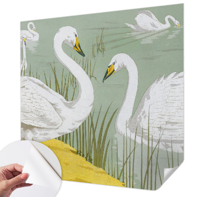 Tapeta fotograficzna Tapeta fotograficzna