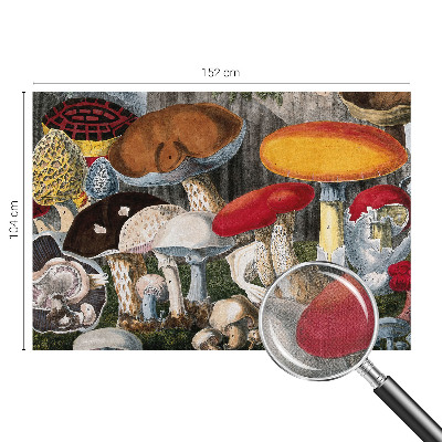 Tapeta fotograficzna samoprzylepna z motywem botanicznych grzybów