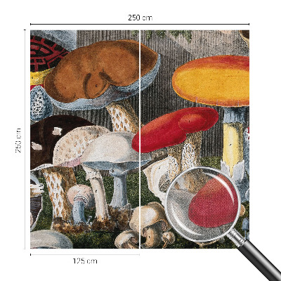 Tapeta fotograficzna samoprzylepna z motywem botanicznych grzybów