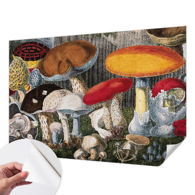 Tapeta fotograficzna samoprzylepna z motywem botanicznych grzybów