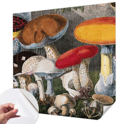 Tapeta fotograficzna samoprzylepna z motywem botanicznych grzybów