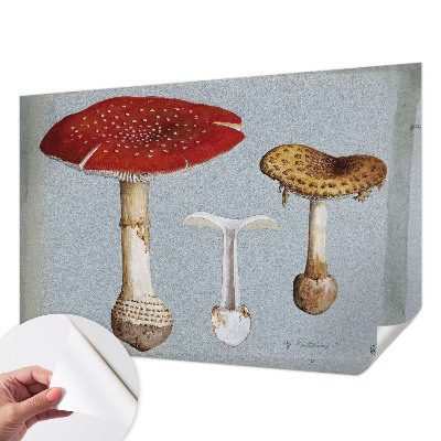 Fototapeta samoprzylepna z nadrukiem z motywem grzybowych rycin