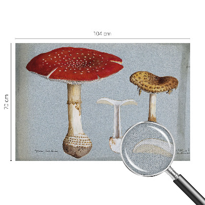 Fototapeta samoprzylepna z nadrukiem z motywem grzybowych rycin
