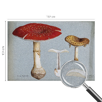 Fototapeta samoprzylepna z nadrukiem z motywem grzybowych rycin