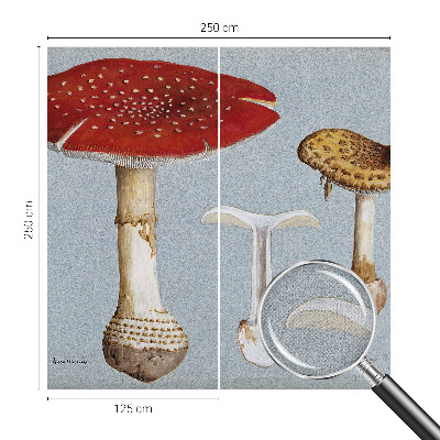Fototapeta samoprzylepna z nadrukiem z motywem grzybowych rycin