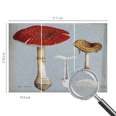 Fototapeta samoprzylepna z nadrukiem z motywem grzybowych rycin