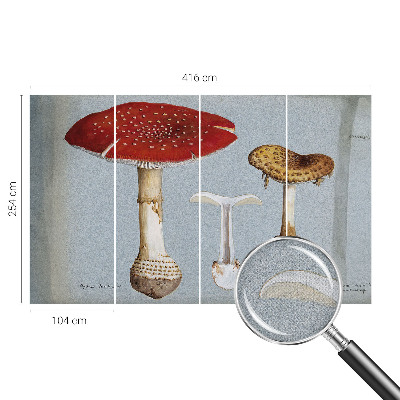 Fototapeta samoprzylepna z nadrukiem z motywem grzybowych rycin