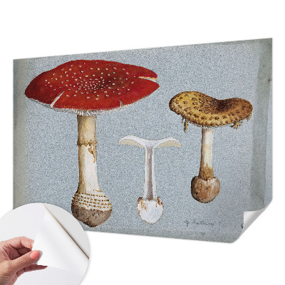 Fototapeta samoprzylepna z nadrukiem z motywem grzybowych rycin