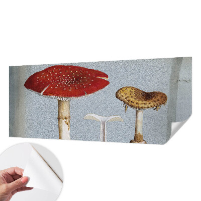 Fototapeta samoprzylepna z nadrukiem z motywem grzybowych rycin
