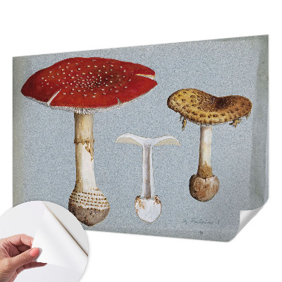 Fototapeta samoprzylepna z nadrukiem z motywem grzybowych rycin