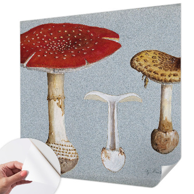 Fototapeta samoprzylepna z nadrukiem z motywem grzybowych rycin