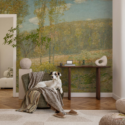 Dekoracyjna fototapeta na ścianę Dekoracyjna fototapeta na ścianę