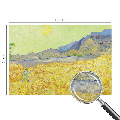 Tapeta fotograficzna z motywem pszenicznego pola