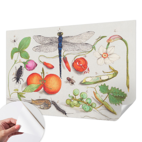 Tapeta fotograficzna samoprzylepna z motywem przyrodniczej ilustracji