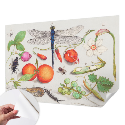 Tapeta fotograficzna samoprzylepna z motywem przyrodniczej ilustracji