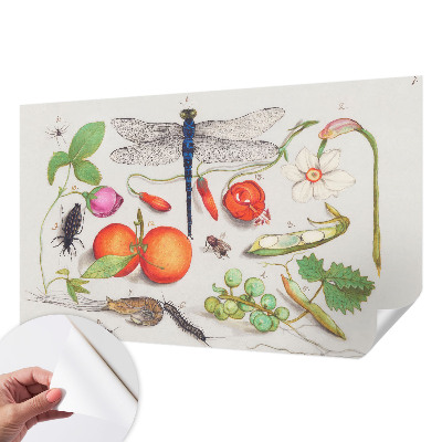 Tapeta fotograficzna samoprzylepna z motywem przyrodniczej ilustracji