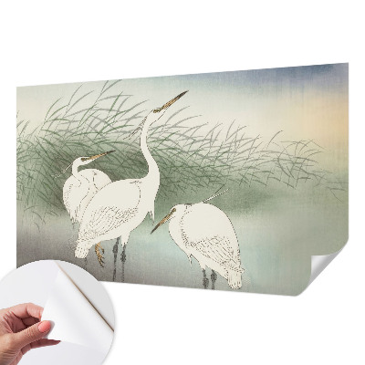 Fototapeta samoprzylepna z nadrukiem Fototapeta samoprzylepna z nadrukiem