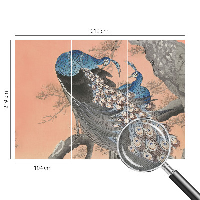 Tapeta fotograficzna z motywem pawiego pióra w eleganckim stylu