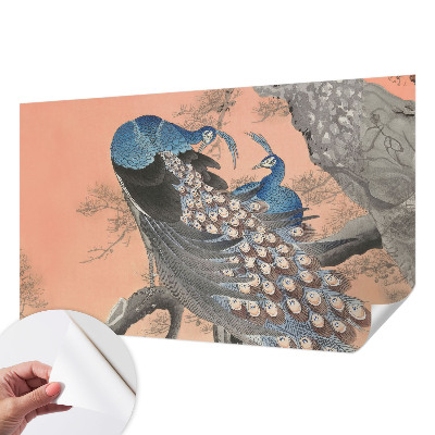 Tapeta fotograficzna z motywem pawiego pióra w eleganckim stylu