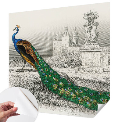 Tapeta fotograficzna samoprzylepna z motywem barwnych piór