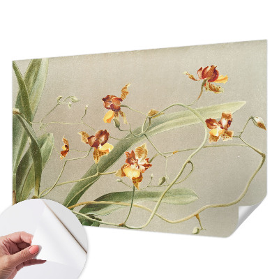 Fototapeta samoprzylepna do sypialni z klasycznym motywem orchidei