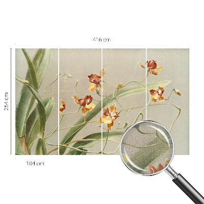 Fototapeta samoprzylepna do sypialni z klasycznym motywem orchidei