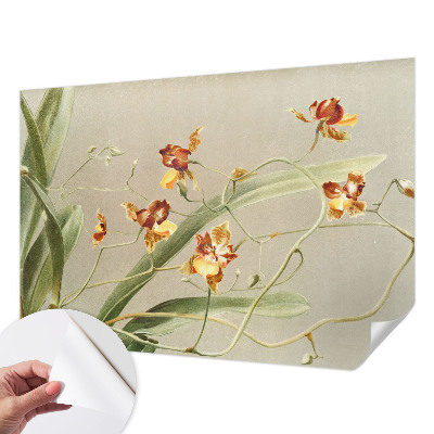 Fototapeta samoprzylepna do sypialni z klasycznym motywem orchidei
