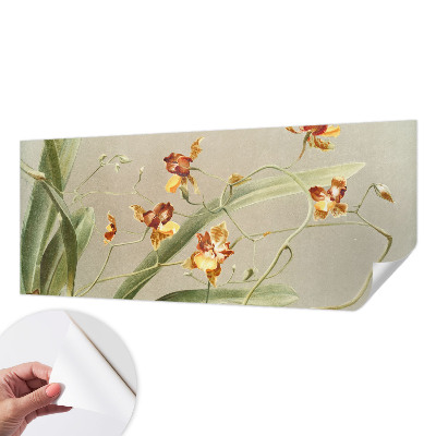 Fototapeta samoprzylepna do sypialni z klasycznym motywem orchidei