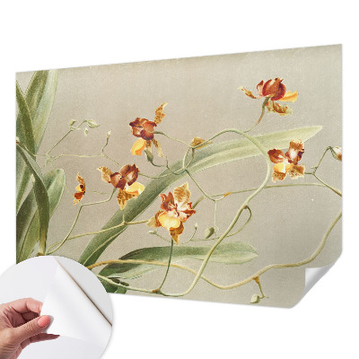 Fototapeta samoprzylepna do sypialni z klasycznym motywem orchidei