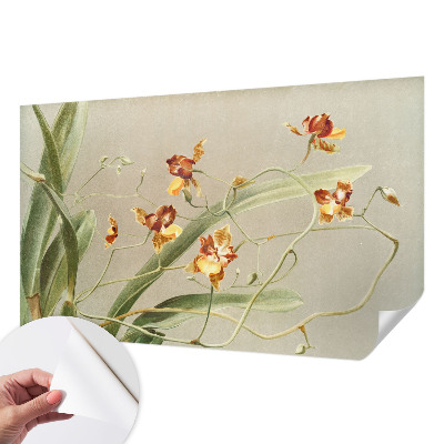 Fototapeta samoprzylepna do sypialni z klasycznym motywem orchidei