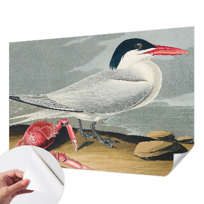 Fototapeta samoprzylepna do sypialni Fototapeta samoprzylepna do sypialni