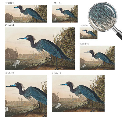 Dekoracyjna fototapeta na ścianę Dekoracyjna fototapeta na ścianę