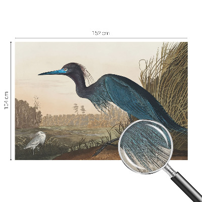 Dekoracyjna fototapeta na ścianę Dekoracyjna fototapeta na ścianę