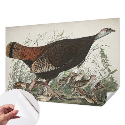 Fototapeta samoprzylepna z nadrukiem Naturalna harmonia