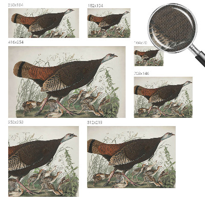 Fototapeta samoprzylepna z nadrukiem z motywem „Naturalna harmonia”