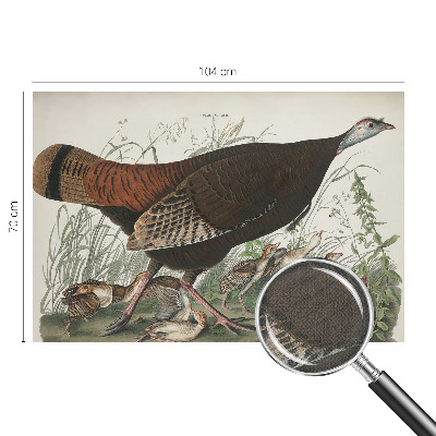 Fototapeta samoprzylepna z nadrukiem z motywem „Naturalna harmonia”