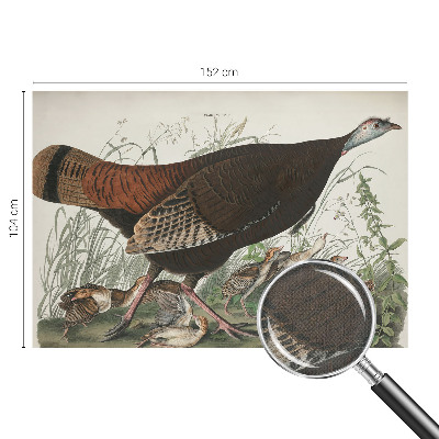 Fototapeta samoprzylepna z nadrukiem z motywem „Naturalna harmonia”